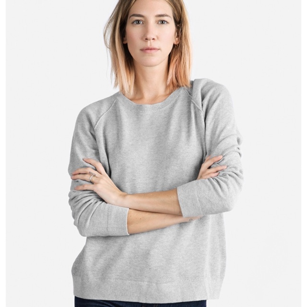 Everlane Seed Stitch Raglan Sweater